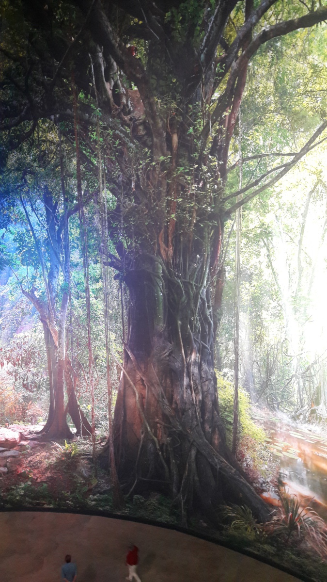 20250517_133134