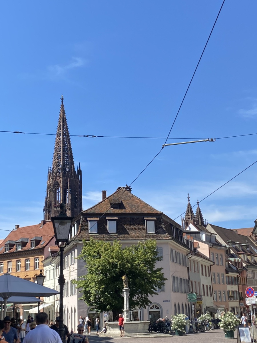 Freiburg neu entdecken